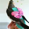 Parrots Vest Flying Suit Soft Vests Bird Flying Accessory Easy to Use for Pet Birds Accessories