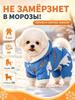 High-quality winter jumpsuit on sintepon, created for small dogs, insulated and at the same time dut.