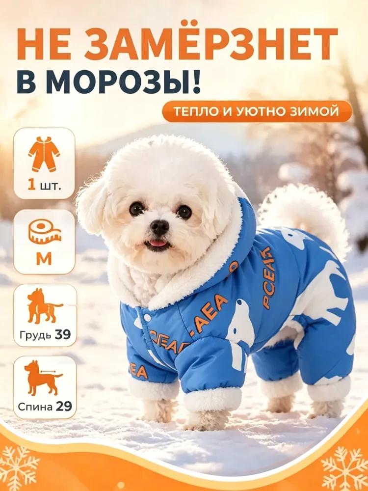 High-quality winter jumpsuit on sintepon, created for small dogs, insulated and at the same time dut.