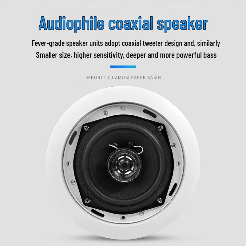 Lingsheng Ceiling Mount Public Address Speaker (CN version)