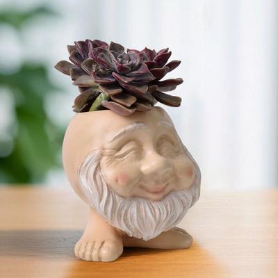 Creative Funny Muggle Face Flower Pot Cute Resin Crafts Planter Pot Waterproof Handmade Plant Pot Garden Lawn