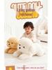 Cute Large Dog Plush Pillow and Bed for Girls