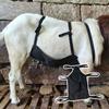 Anti Breeding Goat Apron Anti Mating Skirt Wear Resistant Breeding Control Anti Mating Skirt for Goats Sheep