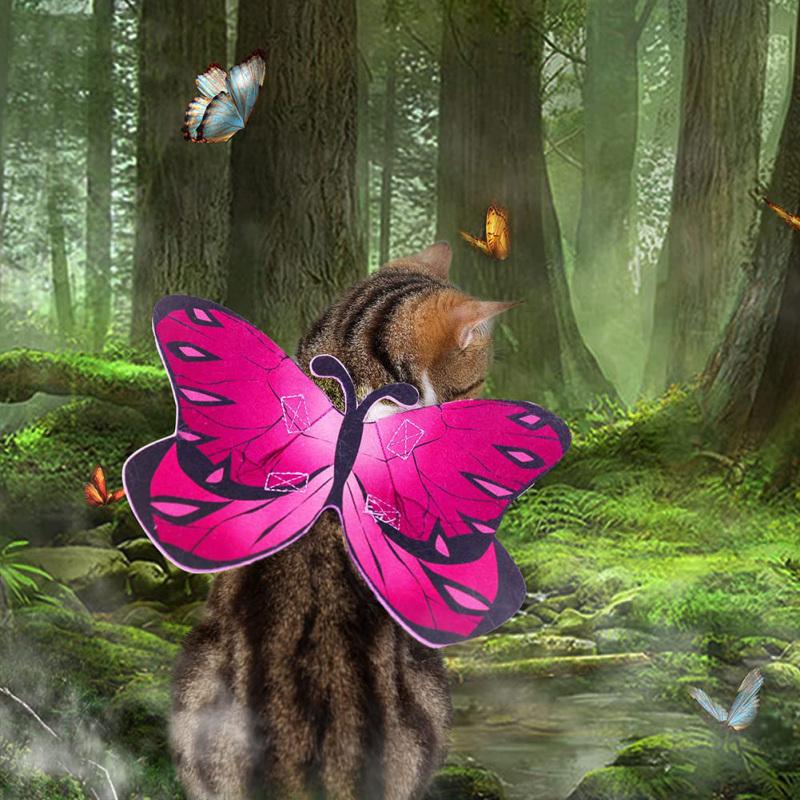 Cat Butterfly Wings Lightweight Adjustable Felt Cloth Multicolor Dress-up Costumes For Halloween