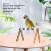Bird Training Stand Colorful Acrylic Sheet Rough Surfaced Corundum Desktop   Training Stand for  s Pet Birds