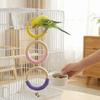With Bell Bird Swing Toy Wood Hanging Parrot Ring Toy Bird Cage Perch  Climbing Play