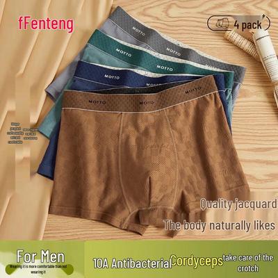 Fenteng Teen Boys Antibacterial Cotton Boxer Briefs 4-Pack