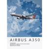 Airbus A320 A380 A350 A319 Aviation Aircraft Posters and Prints Canvas Painting Wall Art Picture for Living Room Home ation