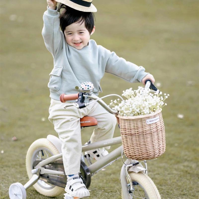 Retro Pastoral Rattan Bicycle & Scooter Basket for Kids