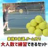 MulaF Practice Tennis Independent Club Tennis 12 Case Included Balls, Training, Beginners, Activities, School, Outdoor, Elastic, Pieces,