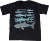 Shark Species Identification T-shirt