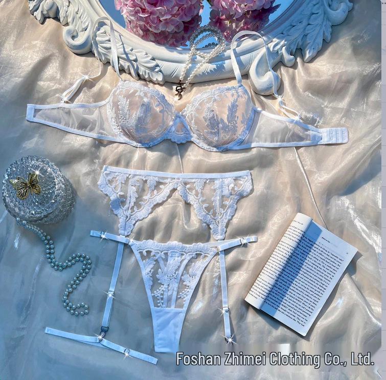 Y Cross-Border Transparent Mesh Lingerie Set: Sexy Three-Piece Women's See-Through Bra