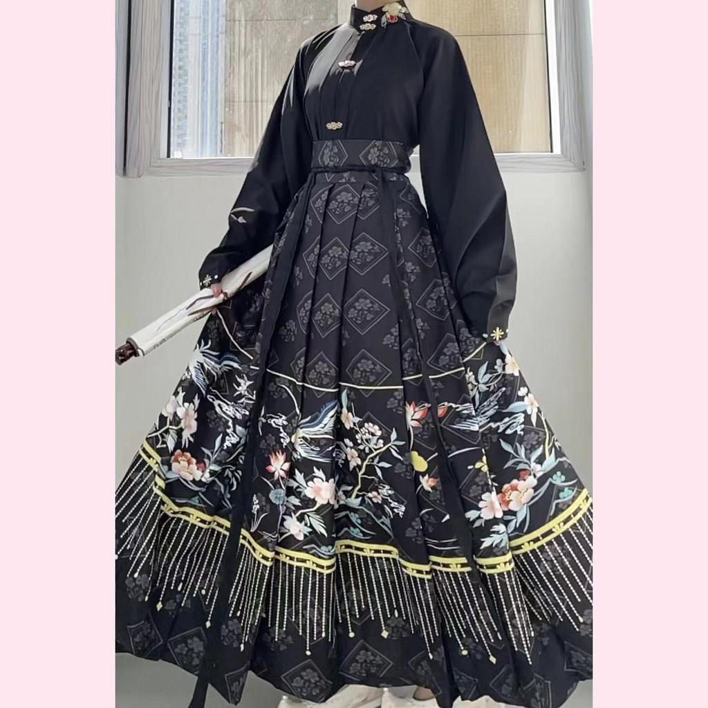 Chinesisches Kleid, berühmter Stil, Anzug, Übergröße, Kostüm-Set, Hemd + Rock, 2-teilig