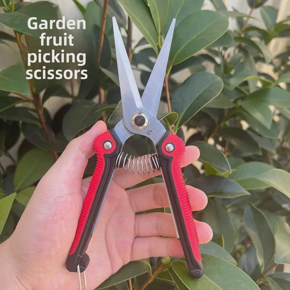 Stainless Steel Pointed Pruning Scissors for Fruit, Branches, and Vegetables