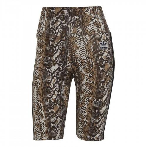 adidas Womens/Ladies Originals Snake Print Cycling Shorts