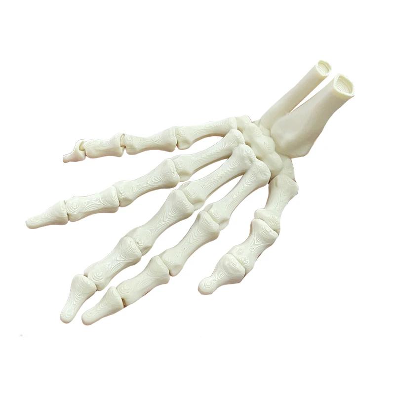 

3D Pprinted Hand Bone Ornaments, Halloween Decorations, 9.3 cm Long, Made of PLA Material, Can be used for decoration