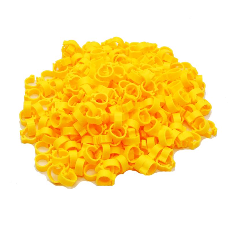 200 Pcs Inner Diameter 8mm Bird Foot Ring Dove Pigeon Parrot Leg Rings Small Birds Foot Ring Bird Clip Ring 10 Colors