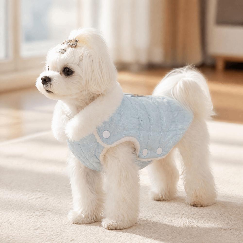 Button Style Sweet Bear Pet Vest Quilted Cotton Pet Sweater Dog Thermal Jacket Daily Wear
