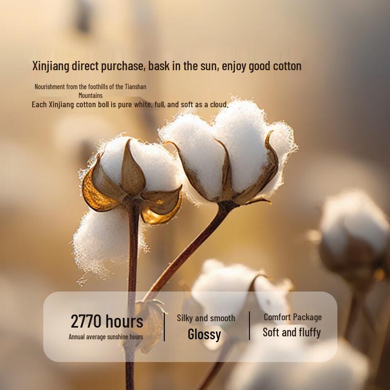 Mercury Home Textiles Xinjiang Baumwoll-Steppdecke