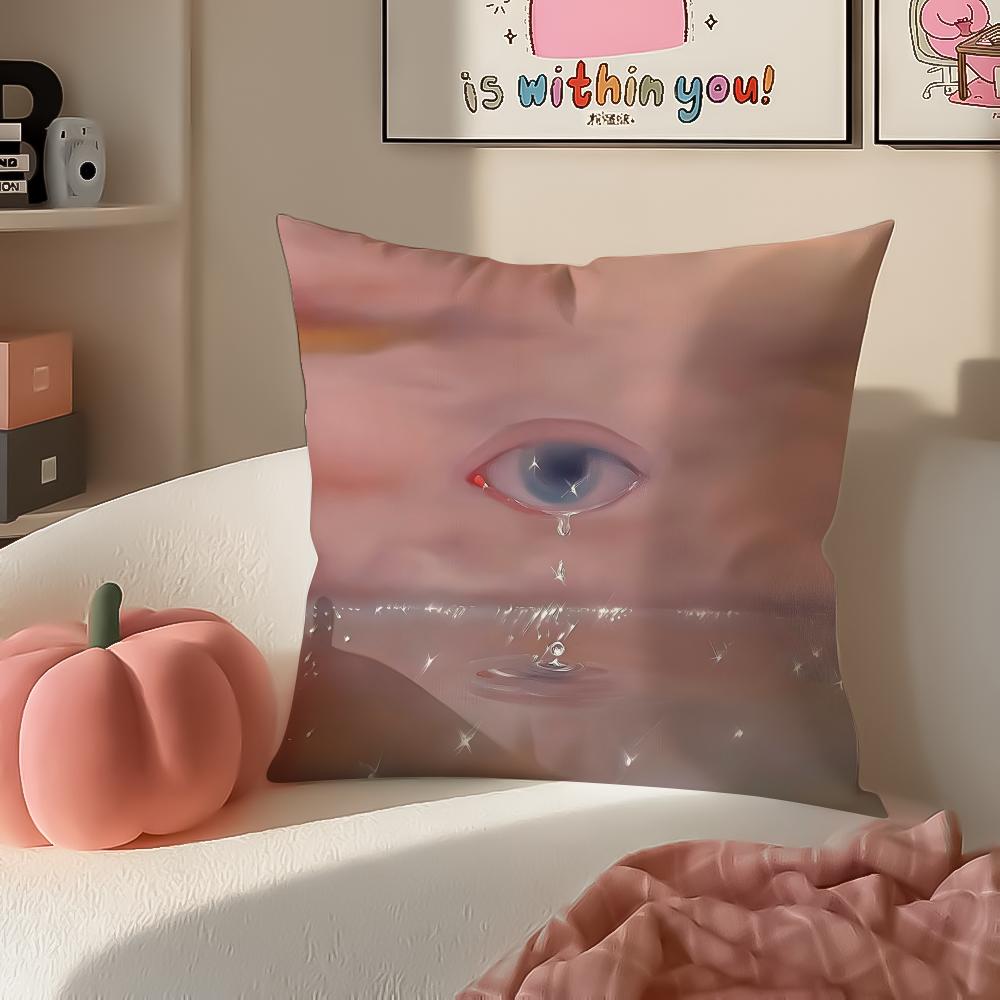 Creative Polish Art MMonika Marchewka Cushion Cover Pillowcase Short Plush Invisible zipper Room Sofa Cushion Cover
