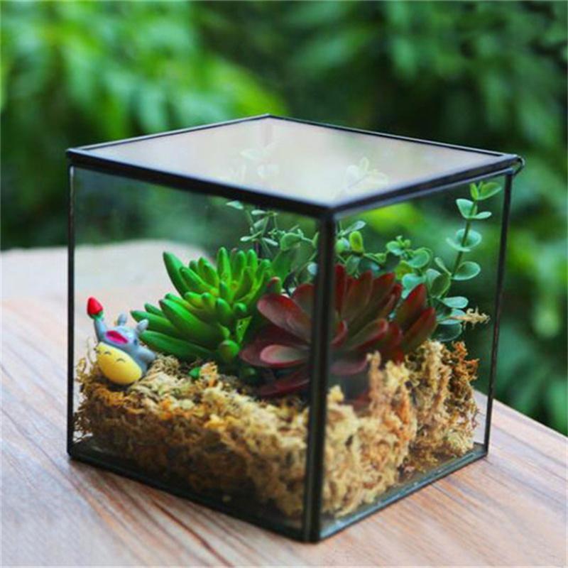 The Cube Shape Moss Glass Terrarium Succulents Desktop Greenhouse Modern Geometric Container Planter for Home Office