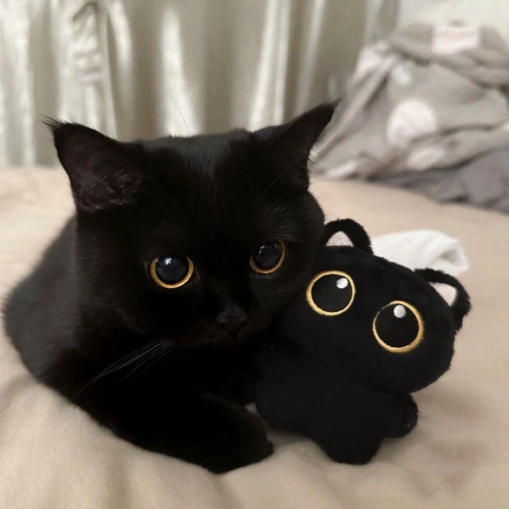 10cm Black Soft Plush Cat Doll Keyring Desktop Decorations Big Eye Cat Plush Pendant Couple Bag Charms Gift