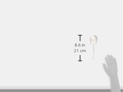 Endo Shoji Winsome Serving Spoon, 18-12 Stainless Steel, Made in Japan, OUI01034