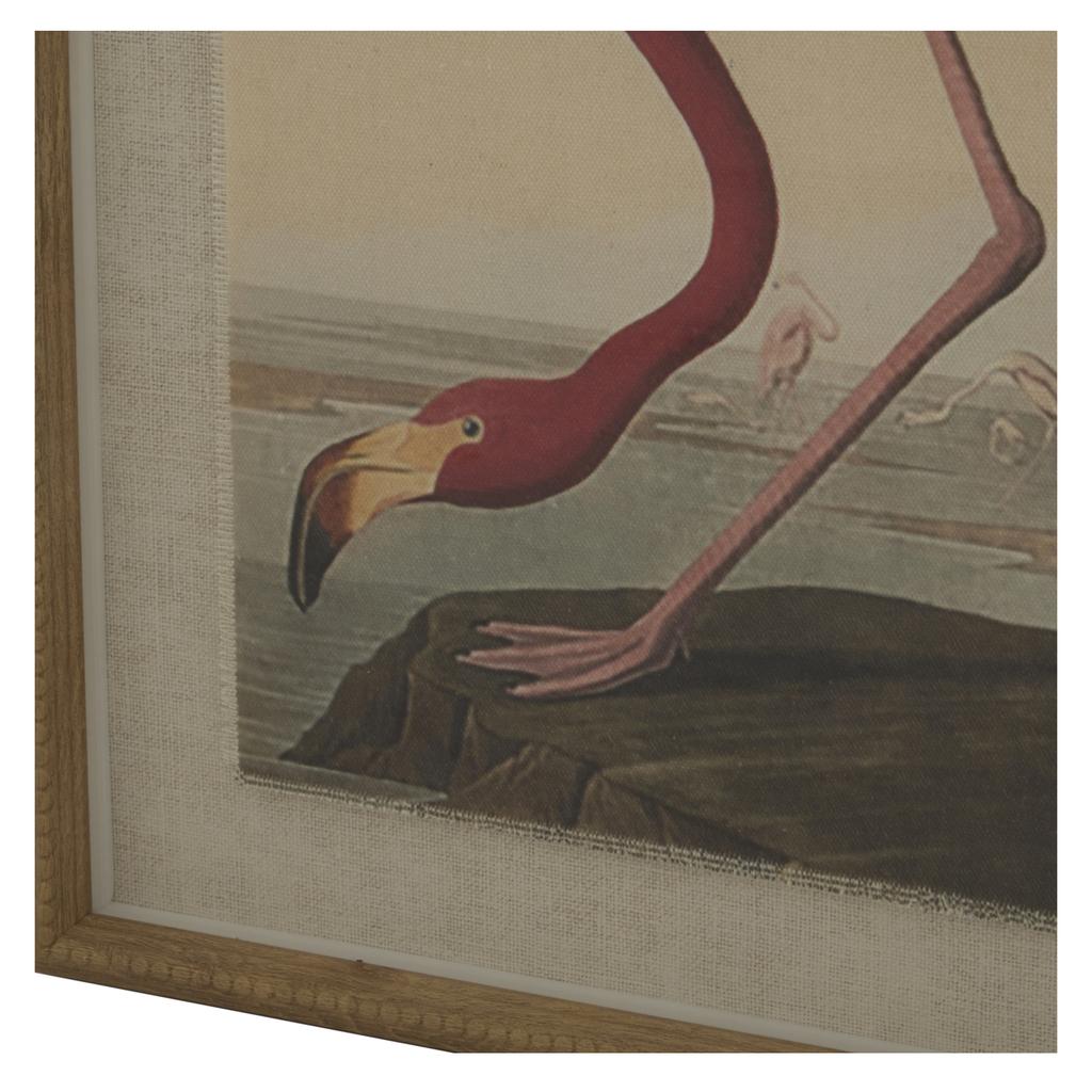 Hill Interiors Flora & Fauna Collection Flaming Linen Framed Wall Art