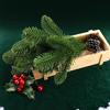 20/50 Stück Künstliche Pflanzen Kiefernnadel Heim Zimmer Außen Garten Dekor Hochzeit Weihnachtsbaum Dekorative Requisite Tischarrangement