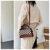 Small Square Bag New Trendy and Cool Casual Hand Bag Simple Color Matching Checkerboard Single Shoulder Messenger Bag Portable and Compact