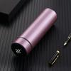 ZISIZ Smart Temperature Display Insulated Bottle