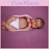 Loulou Reborn Baby Doll Silicone Skin Realistic Toy For Collectors And Kids