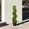 Artificial Spiral Eucalyptus Plant with Pot Included for Indoor and Outdoor, Height 90 cm, Green