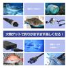 White Nuts Electric Reel Cord Cable Jump Starter Type EC5 Connector Connection 2-Core 2-Hole (3.0m) [Used]