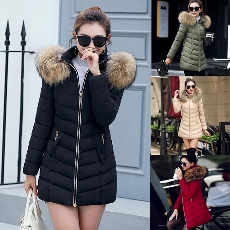 plus size jacket with fur collar