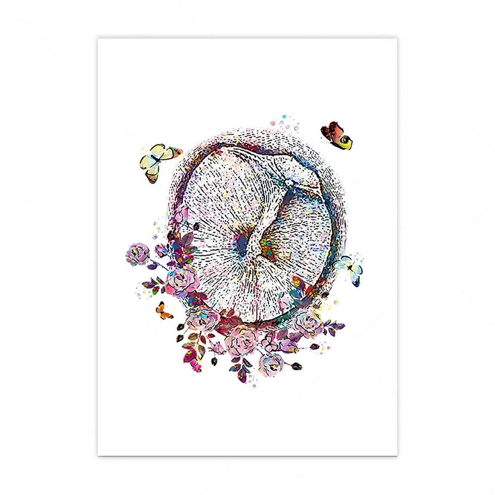 Anatomical Inner Ear Audiology Cochlea Wall Art Canvas Painting Nordic Posters And Prints Wall Pictures For Medical Clinic Decor