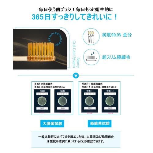 Atom Beauty ATOMY Atomy Propolis Toothpaste 50g X 4 + Periodontal Care Toothbrush 8 (Individually Wrapped) Set