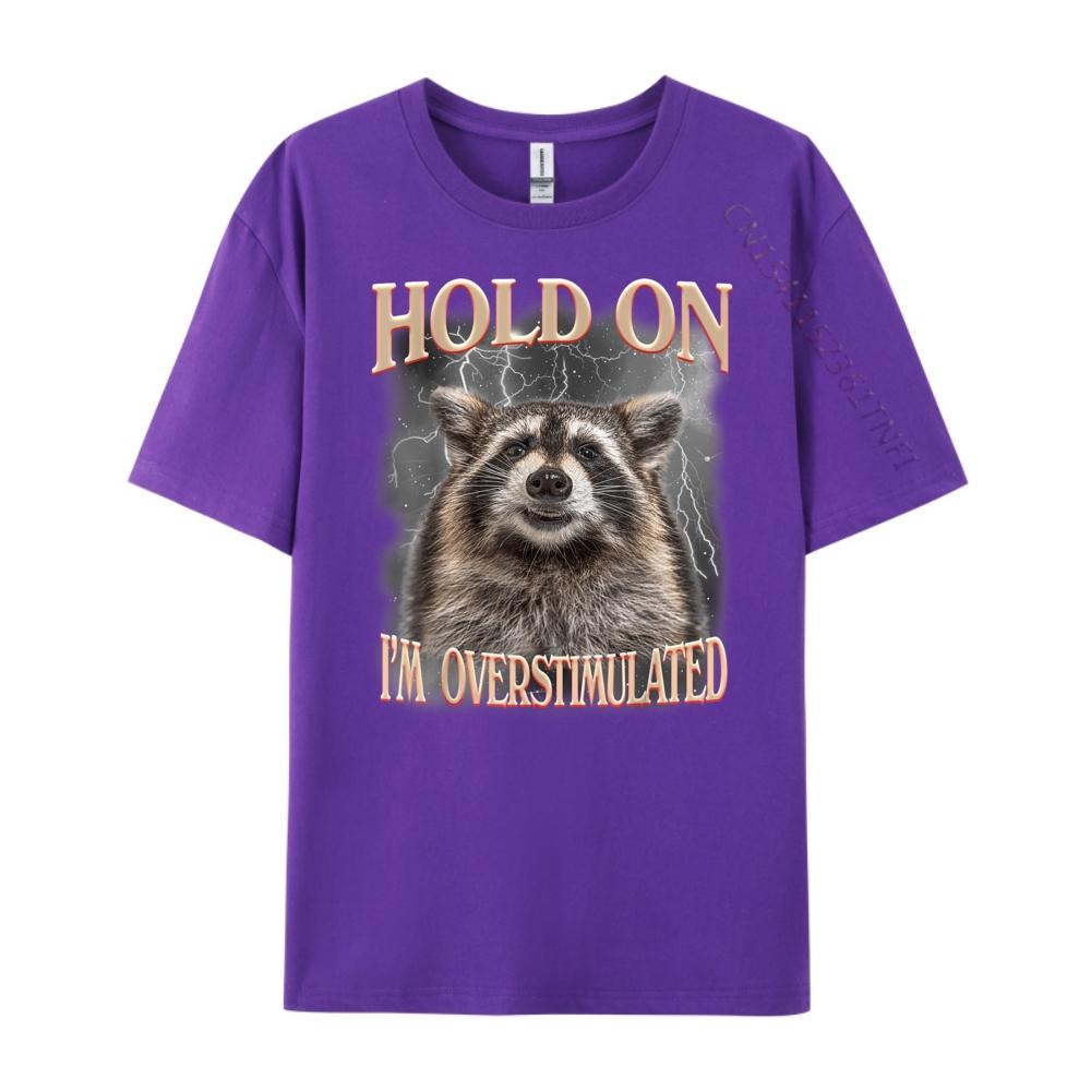 Hold On Im Overstimulated Raccoon Funny Men Women Streetwear Men Fall T Shirts For Men