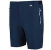Regatta Mountain II Shorts