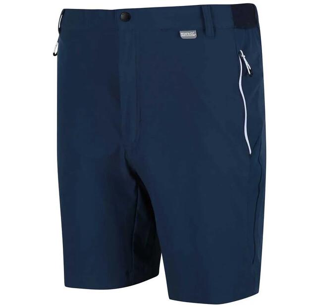 Regatta Mountain II Shorts