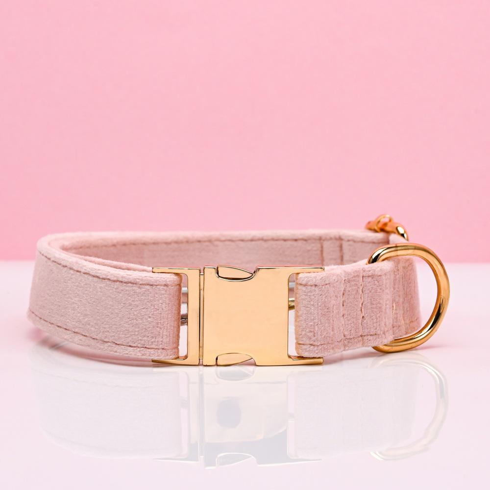 Ensemble collier et laisse pour chien en velours gravé avec boucle métallique réglable