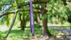 Rubber Band for Pull-up Exercises - Latex Power Band, Purple