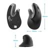 Souris Ergonomique Verticale Sans Fil Ewent EW3154 3200 DPI Noir
