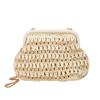 Handwoven Bag Women's New Trendy Shoulder Bag Vacation Straw Bag Chain Crossbody Shell Bag
