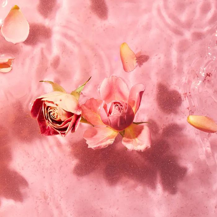 [NEW] Aromatherapy Ritual Bath Salt Bath Salt 50g (Choose 1 of 2 types)