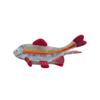 Acetic Acid Ocean Animal Hair Clip Cute Geometry Shark Clip Small Fish Hair Claw  Female