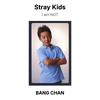 Stray Kids Ich bin KEINE offizielle Fotokarte