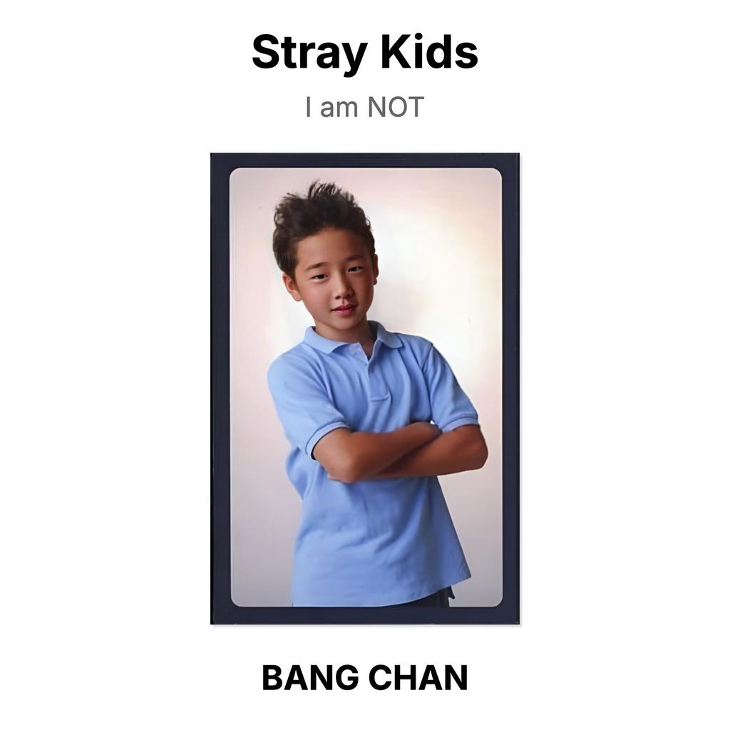 Stray Kids Ich bin KEINE offizielle Fotokarte