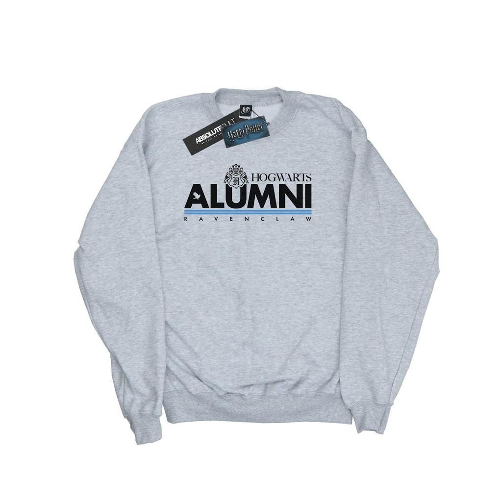 Harry Potter Boys Hogwarts Alumni Ravenclaw Sweatshirt