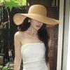 Hepburn style woven big brim straw hat women's summer seaside vacation beach sunshade sun protection versatile sun hat